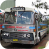 Illawarra Escape Tours fleet images